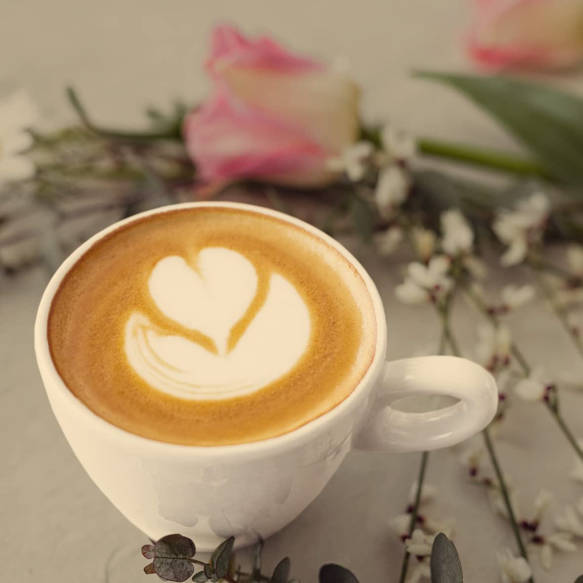 - Moka 1000g | Caffè forte per Schümli ed espresso da macchine completamente automatiche | Caffè in grani tostati interi | Con il 90% di Arabica