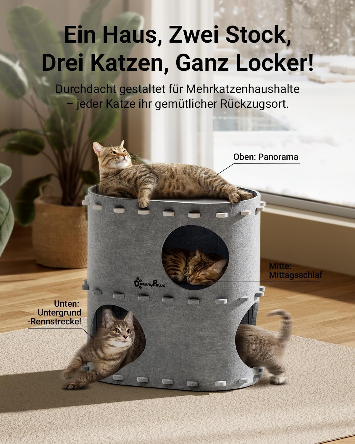 Coperte e Arredi, Animali Domestici, Grotte e Casette, Gatti, Letti per gatti, Gatti - Letti, materassi