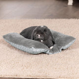 Letti, coperte e mobili, Animali domestici, Gatti, Cucce per gatti, Gatti - Letti, materassi