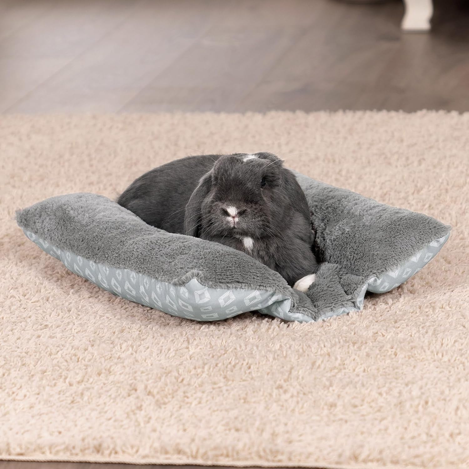 Letti, coperte e mobili, Animali domestici, Gatti, Cucce per gatti, Gatti - Letti, materassi