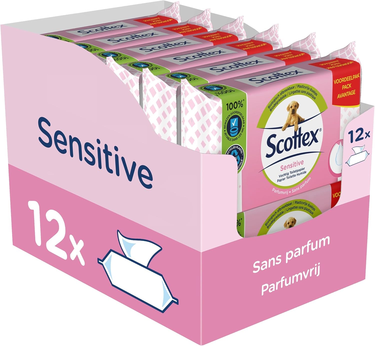 Carta igienica umidificata sensibile, 38 servizi (38 servizi X 12 confezioni, 456 servizi in totale)