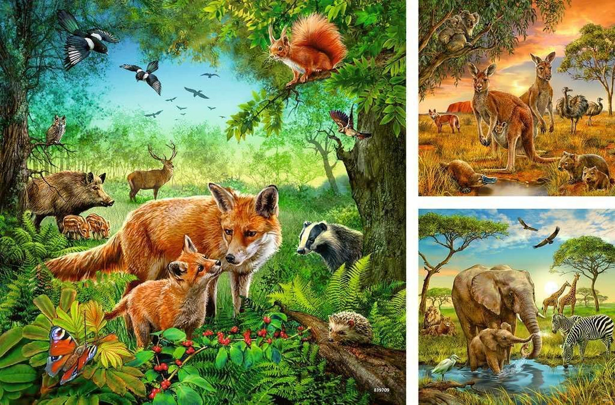 Ravensburger Puzzle per bambini - 09330 Animali della Terra - Puzzle per bambini dai 5 anni, con 3X49 pezzi Puzzle Naty Shop