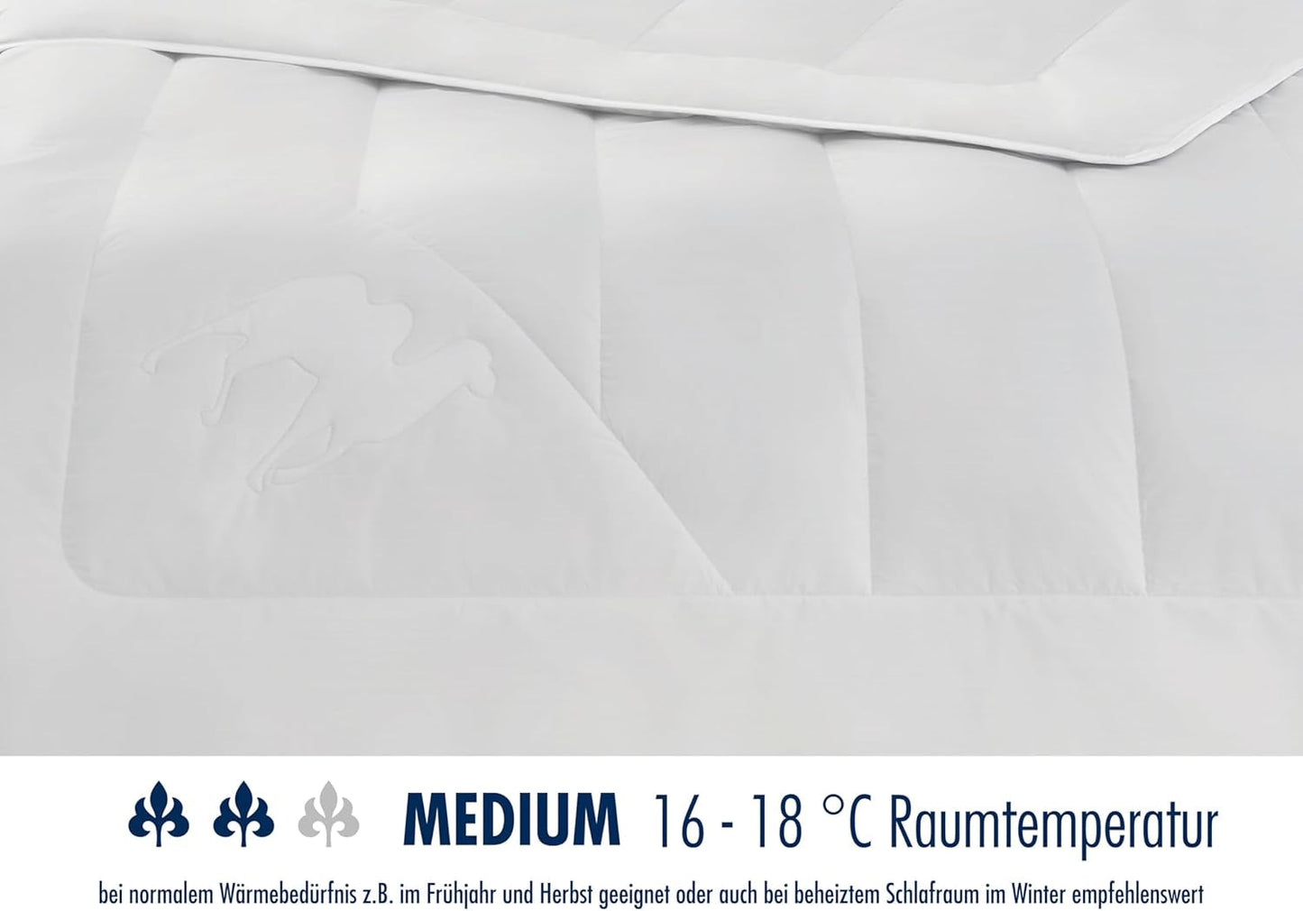Trapunta Irisette cammello - Made in Germany - Mono, trapunta per tutte le stagioni, trapunta in pelo di cammello per transizione, 155 X 220 Cm, Trapunte e trapunte certificate Oeko-Tex Naty Shop