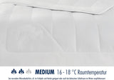 Trapunta Irisette cammello - Made in Germany - Mono, trapunta per tutte le stagioni, trapunta in pelo di cammello per transizione, 155 X 220 Cm, Trapunte e trapunte certificate Oeko-Tex Naty Shop