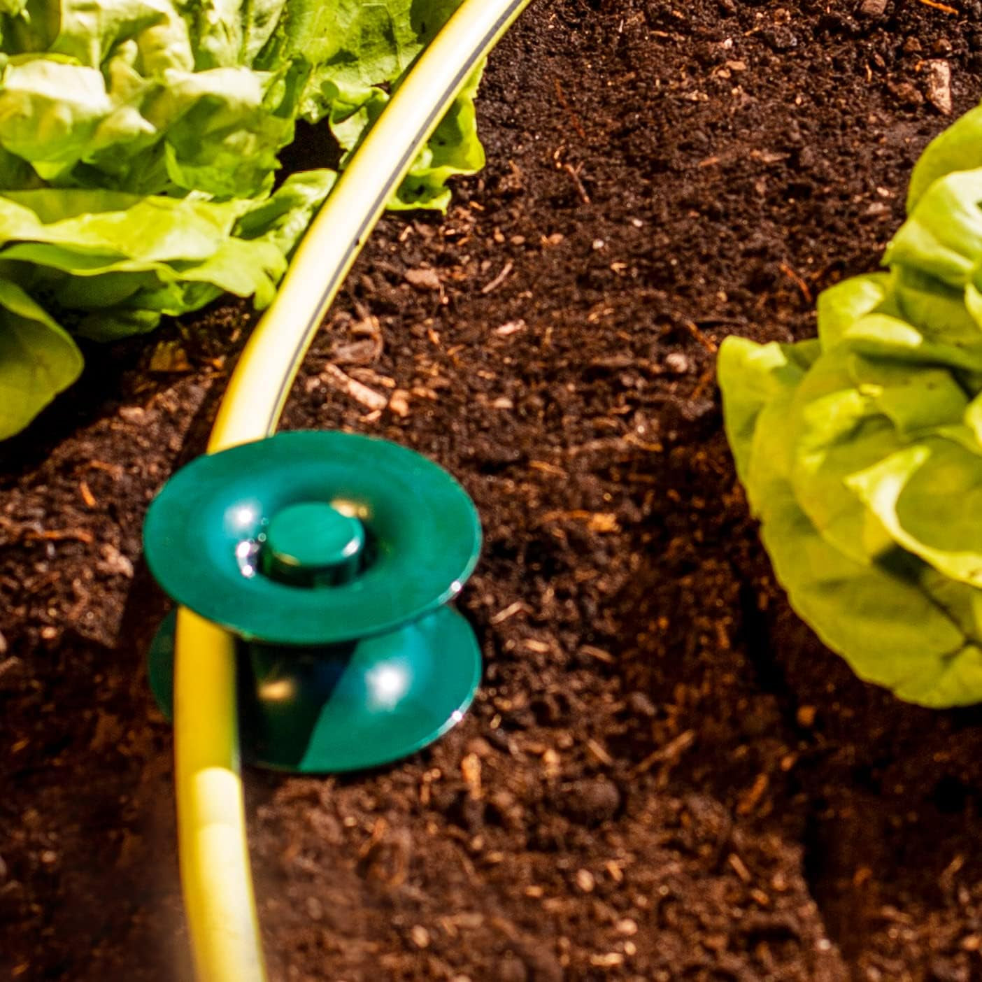 Set di 3 guide per tubo, verde, 24 x 9 cm | Tubo da giardino e guidacavo con ancoraggio a terra | Avvolgitubo per proteggere aiuole e muri di casa | Avvolgitubo per tubo e cavo da giardino