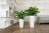 Fioriera LECHUZA Rondo Premium 32 Bianco Opaco | Colonna per piante con sistema di irrigazione, indicatore del livello dell'acqua e inserto per piante | Finitura opaca | Ø 32,5 x 56,5 cm | 15786