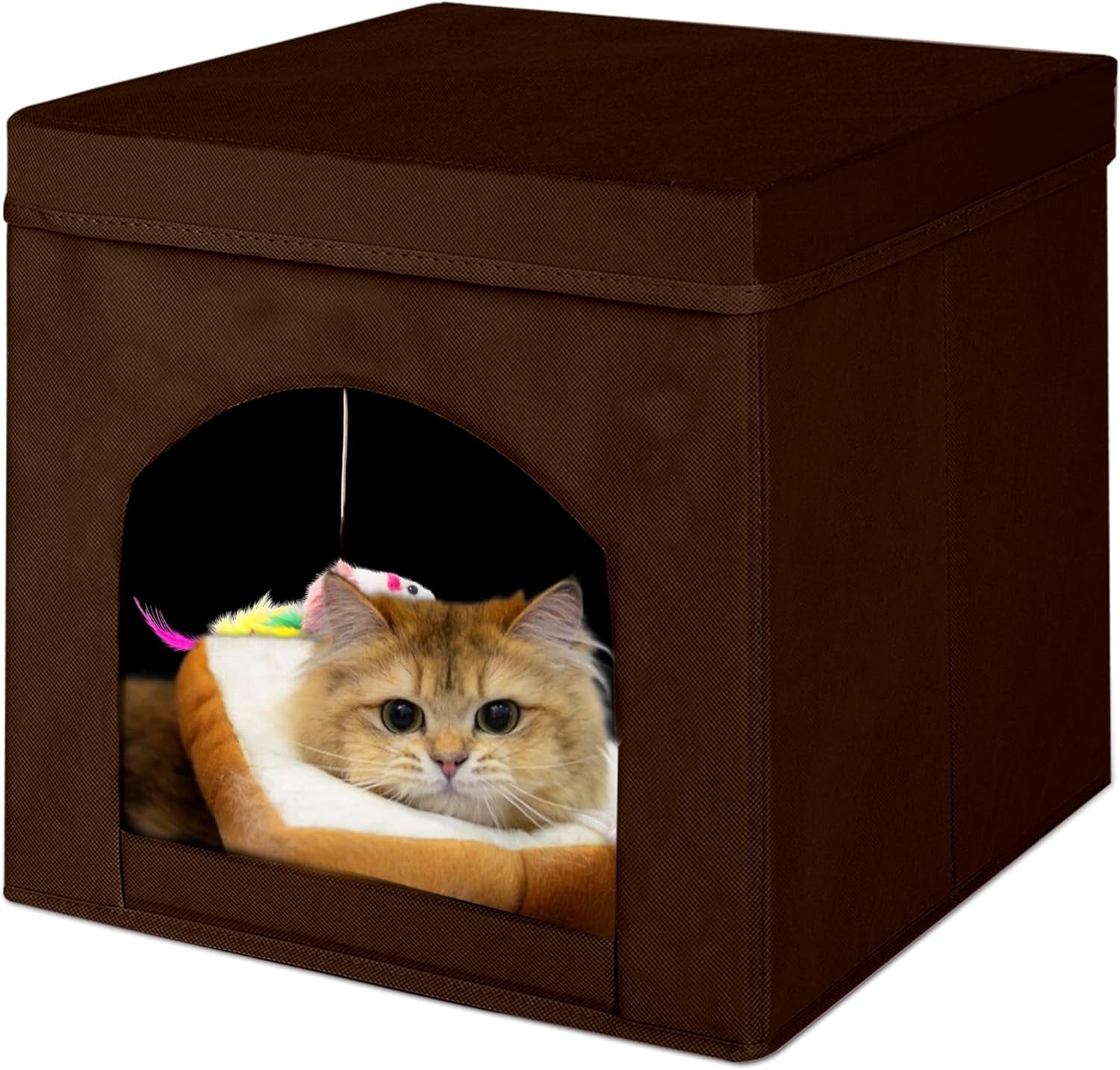 Coperte e Arredi, Animali Domestici, Grotte e Casette, Gatti, Letti per gatti, Gatti - Letti, materassi