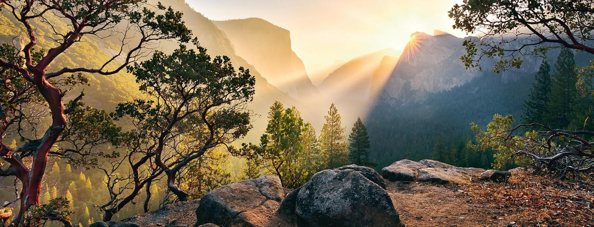 Ravensburger Puzzle 15083 - Yosemite Park - Puzzle da 1000 pezzi per adulti e bambini dai 14 anni in formato panoramico Puzzle Naty Shop Nuovo design