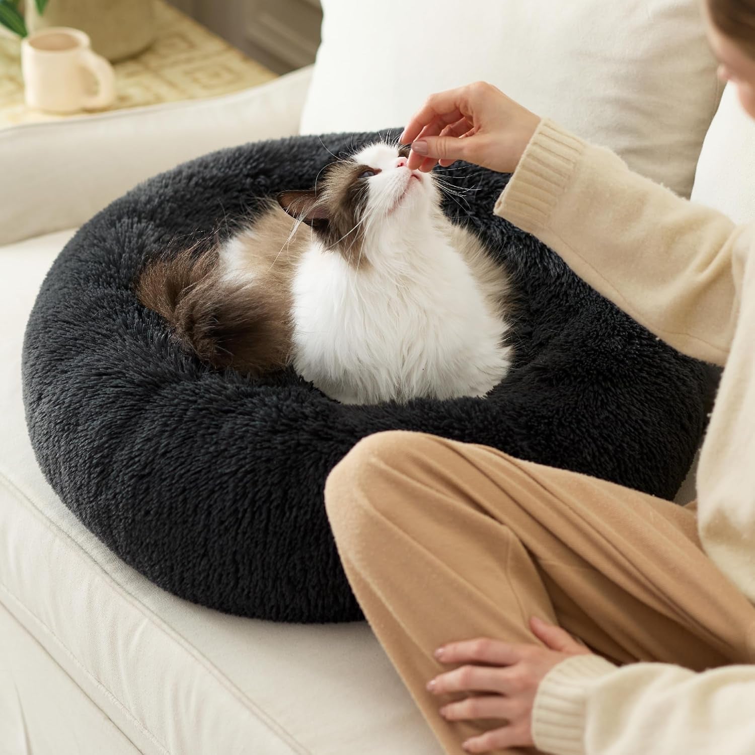 Letti, coperte e mobili, Animali domestici, Gatti, Cucce per gatti, Gatti - Letti, materassi