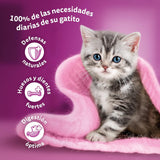 Whiskas Junior Classic cibo umido per gatti, 13 x 4 x 85 g