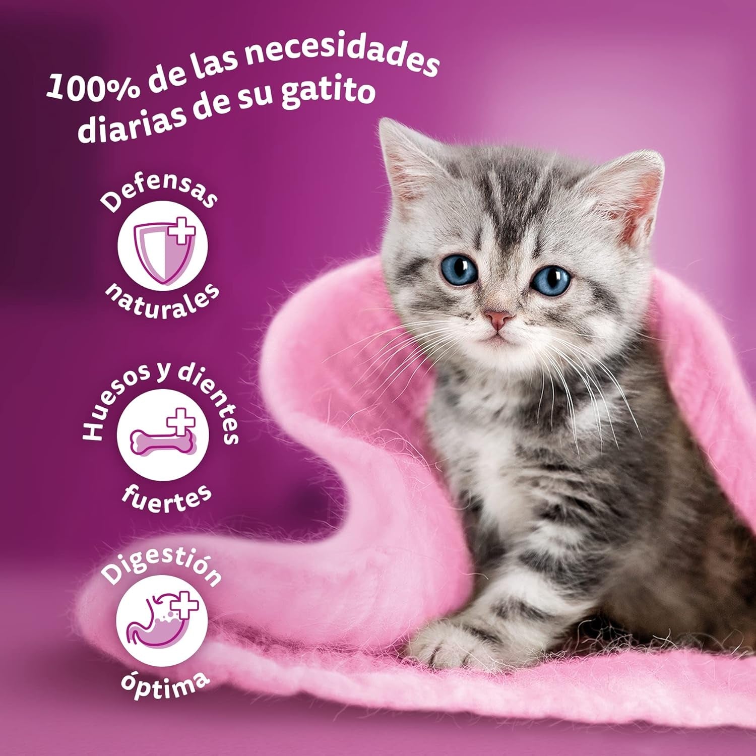 Whiskas Junior Classic cibo umido per gatti, 13 x 4 x 85 g
