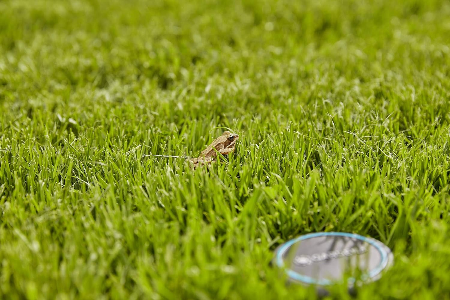 Cavo di prolunga Gardena (10 m) per sensore pioggia e sensore umidità del suolo, cavo di collegamento con sistema Easy Click, estensibile fino a 105 m, per uso sopra e sotto terra (01868-20)