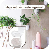 Vasi da parete autoirriganti Virgo (set da 6) - Facili da annaffiare e installare - Leggeri - Crea il tuo giardino verticale - Vasi da parete per piante da interno