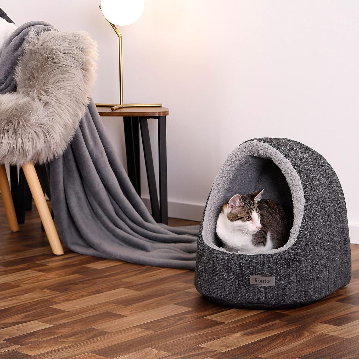 Coperte e Arredi, Animali Domestici, Grotte e Casette, Gatti, Letti per gatti, Gatti - Letti, materassi