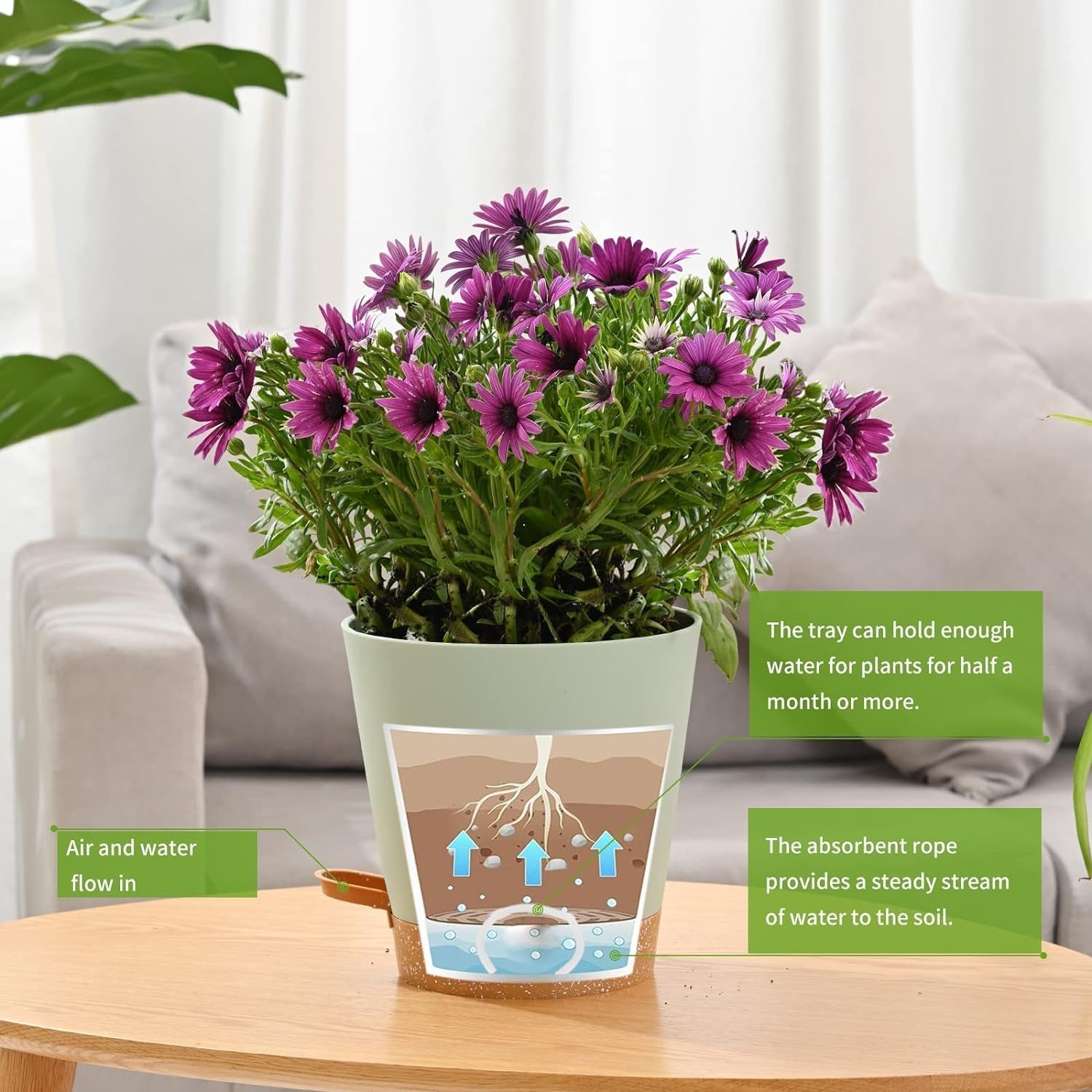 Vaso da fiori 6 pezzi 12,7 cm Fioriera autoirrigante Vaso da fiori per interni ed esterni ad alto drenaggio con vassoio per serbatoio e bordo per irrigazione Fioriera da giardino