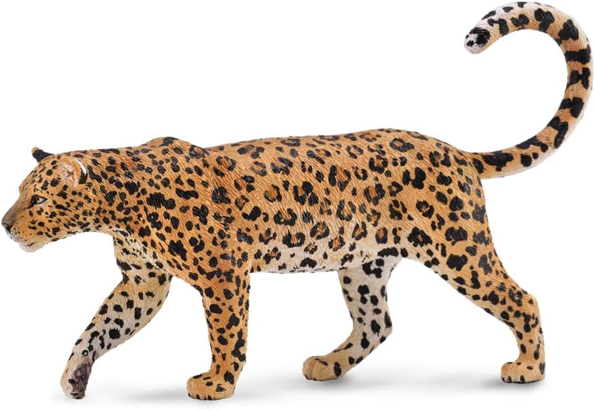 Collecta - Leopardo africano (88866) Action figures Naty Shop Titolo predefinito