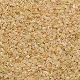 Riso integrale a chicco corto Wholefood Earth - non OGM - naturale - vegano - senza latticini - senza zuccheri aggiunti, 3 kg