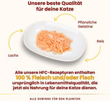 Almo Nature HFC Jelly - Nassfutter für ausgewachsene Katzen - Lachs - Human Grade, senza glutine e monoproteico - 6 x 70g