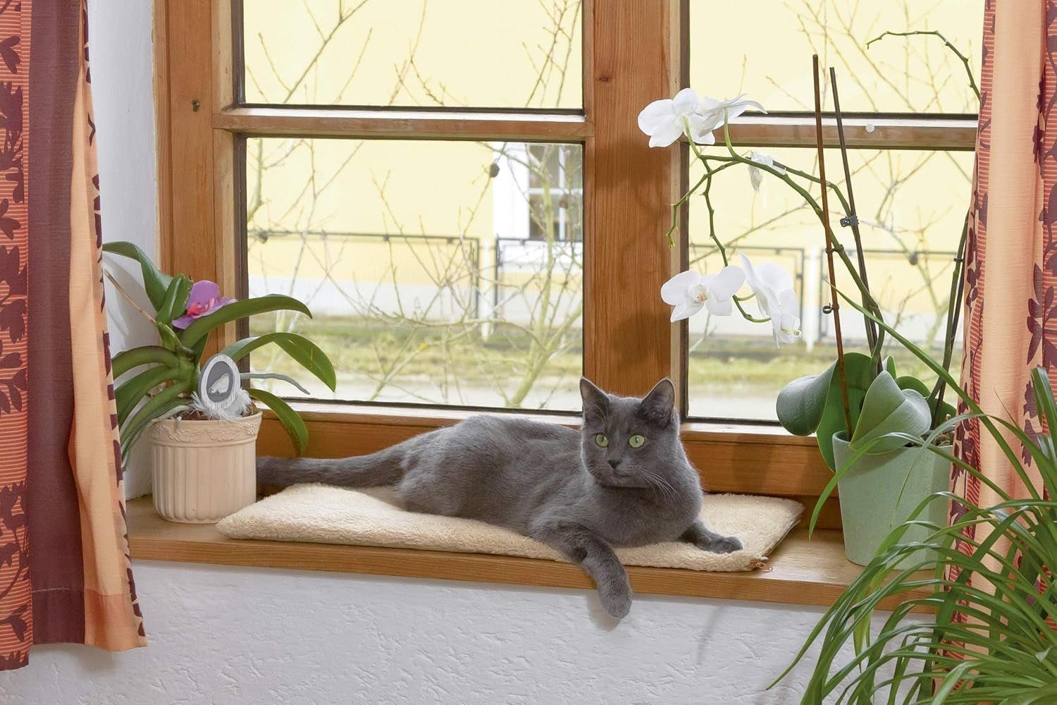 Coperte e Arredi, Animali Domestici, Gatti, Lettine per gatti, Tappetini tiragraffi, Gatti - Lettini, materassi