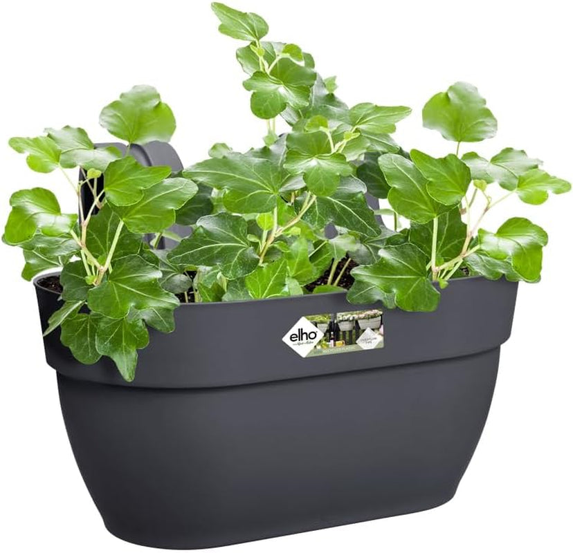 elho Vibia Campana Easy Hanger M 36 - Vaso per balcone ed esterno - Ø 36,0 x H 26,5 cm - Nero/Antracite