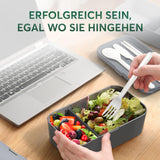 Portapranzo Umami per Adulti, Bento Box impilabile con 4 posate e scomparti, Portapranzo per adulti, Contenitore per insalata da asporto, Portapranzo da picnic/ufficio, Grigio antracite, Scatole per alimenti da 1500 ml Naty Shop