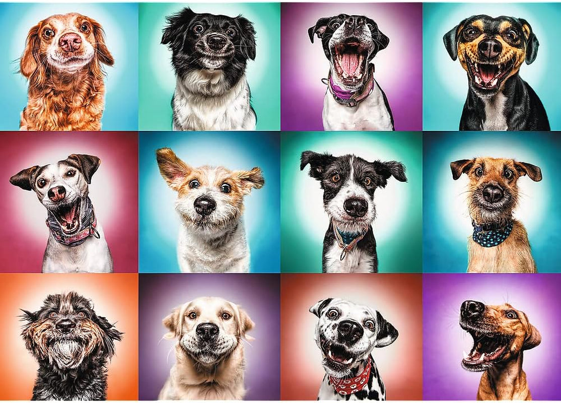 Trefl TR27119 Funny Dog Portraits II 2000 pezzi, qualità premium, per adulti e bambini dai 12 anni Puzzle, Puzzle colorato Naty Shop