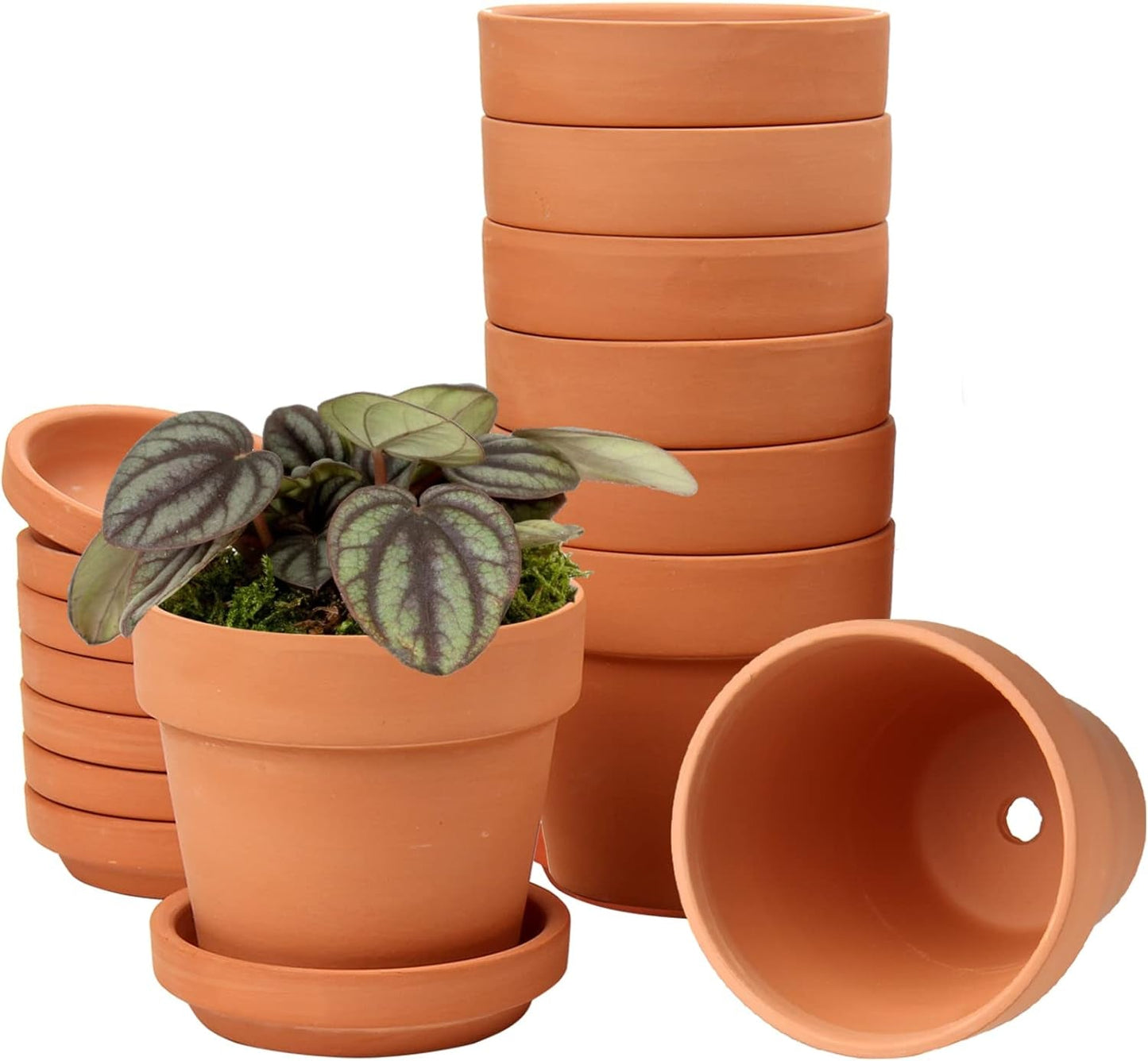 Hollyone Set di 8 fioriere piccole in terracotta, vasi rotondi in terracotta 8x8 cm con piatto e foro di drenaggio, fioriere piccole con vassoio, vasi per piante grasse in terracotta per piante da interno, fioriere in ceramica