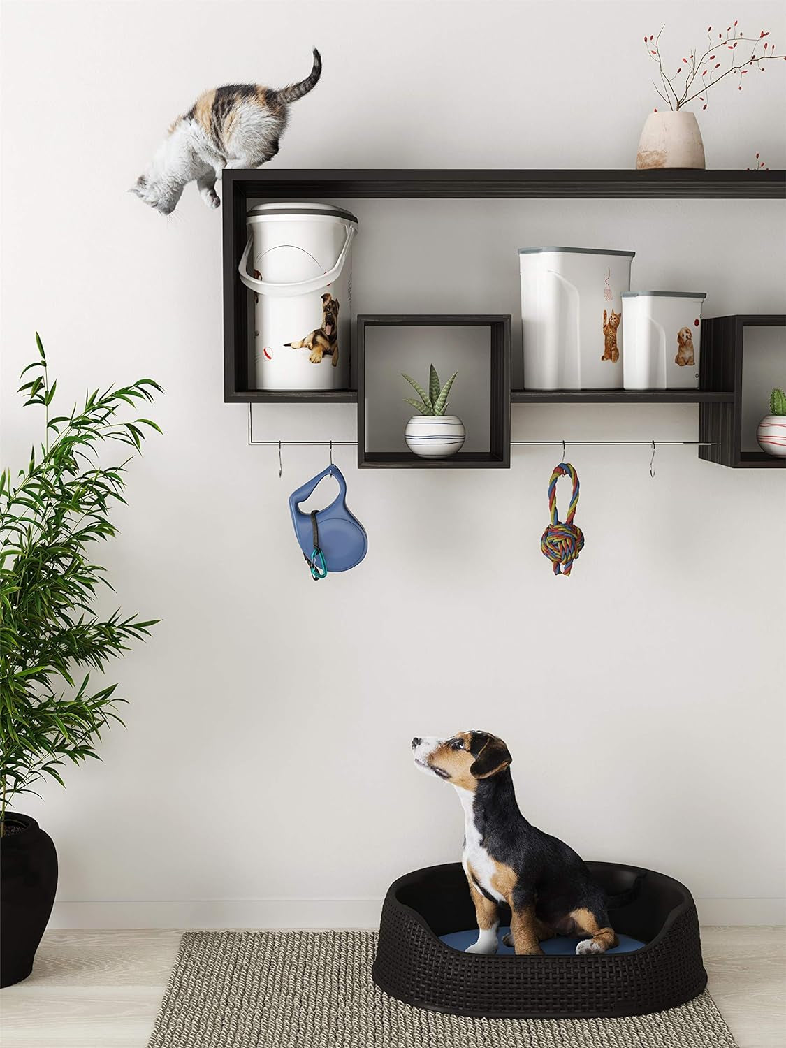 Contenitore per cibo per cani Curver - 2 l Contenitori per alimenti Naty Shop