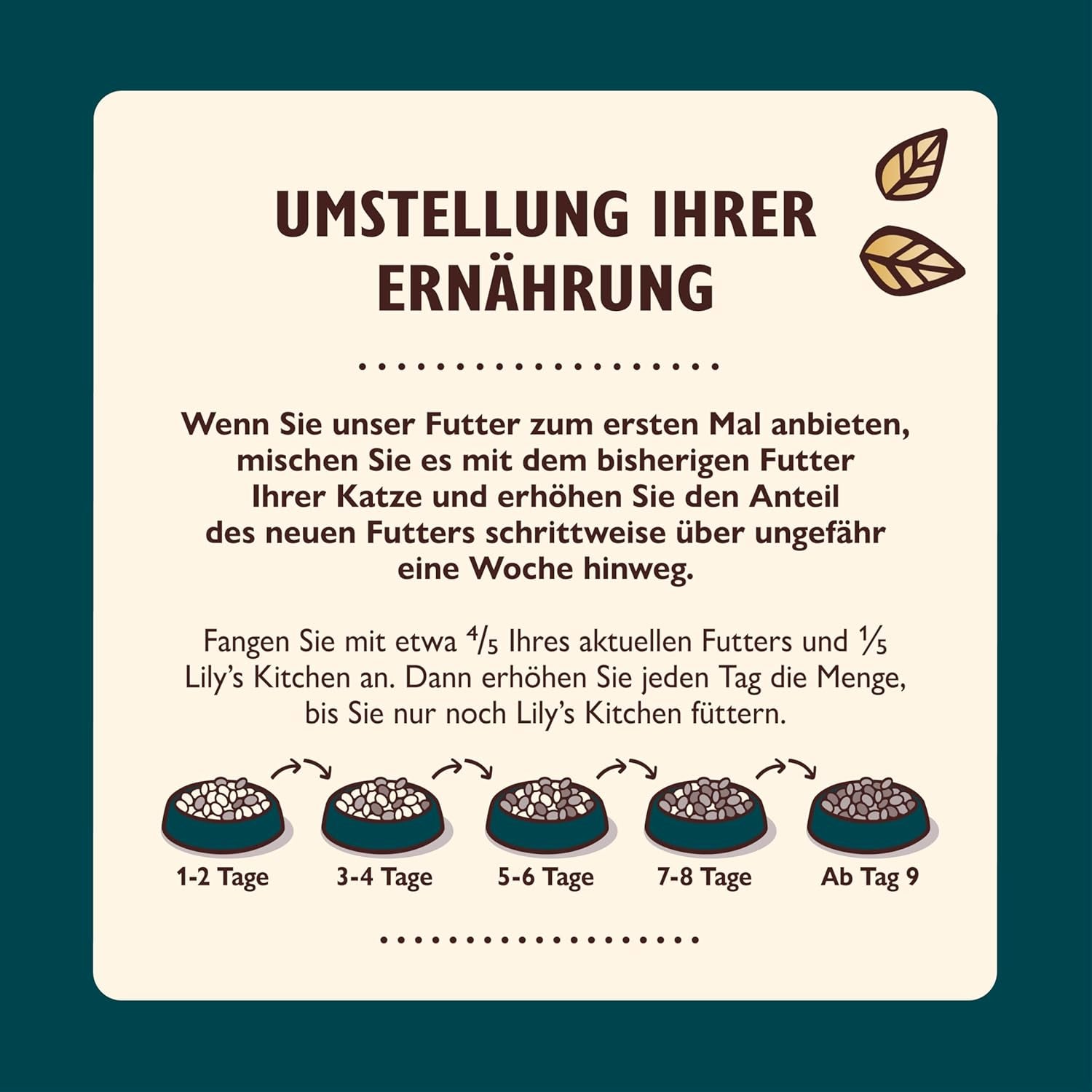 Lily's Kitchen Aus Naturichen Ingredient hermestellung Zerkleinerte Filets in Gelee mit Hühnchen und Lachs Ausgewachsen Nassfutter für Katzen 70 g Dose