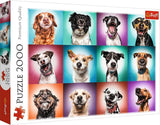 Trefl TR27119 Funny Dog Portraits II 2000 pezzi, qualità premium, per adulti e bambini dai 12 anni Puzzle, Puzzle colorato Naty Shop Titolo predefinito