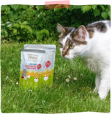 MjAMjAM - Cibo umido per gatti premium - pollo delicato con fragole fruttate 400 g, confezione da 6 (6 x 400 g), naturale con carne extra