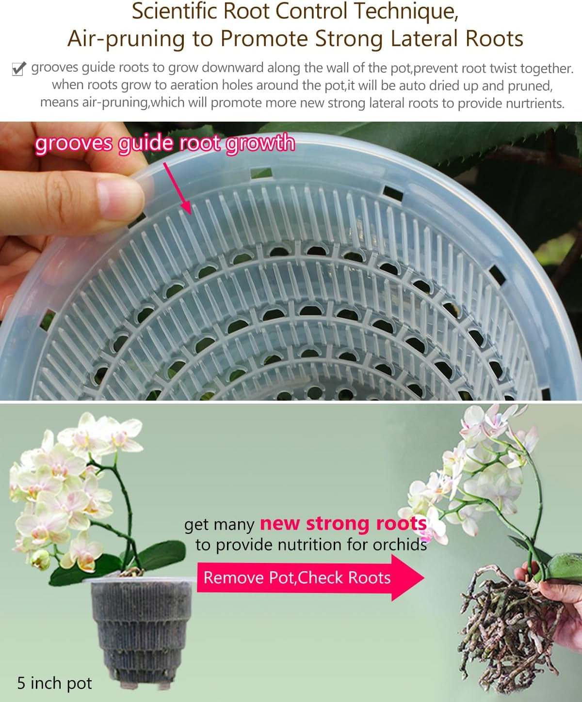 Vaso da fiori per orchidee con fori di drenaggio per trapianto, eccellente circolazione dell'aria, 2 pezzi, plastica a doppio strato, fioriera per orchidee in ceramica, vaso da fiori per orchidee trasparente, decorativo