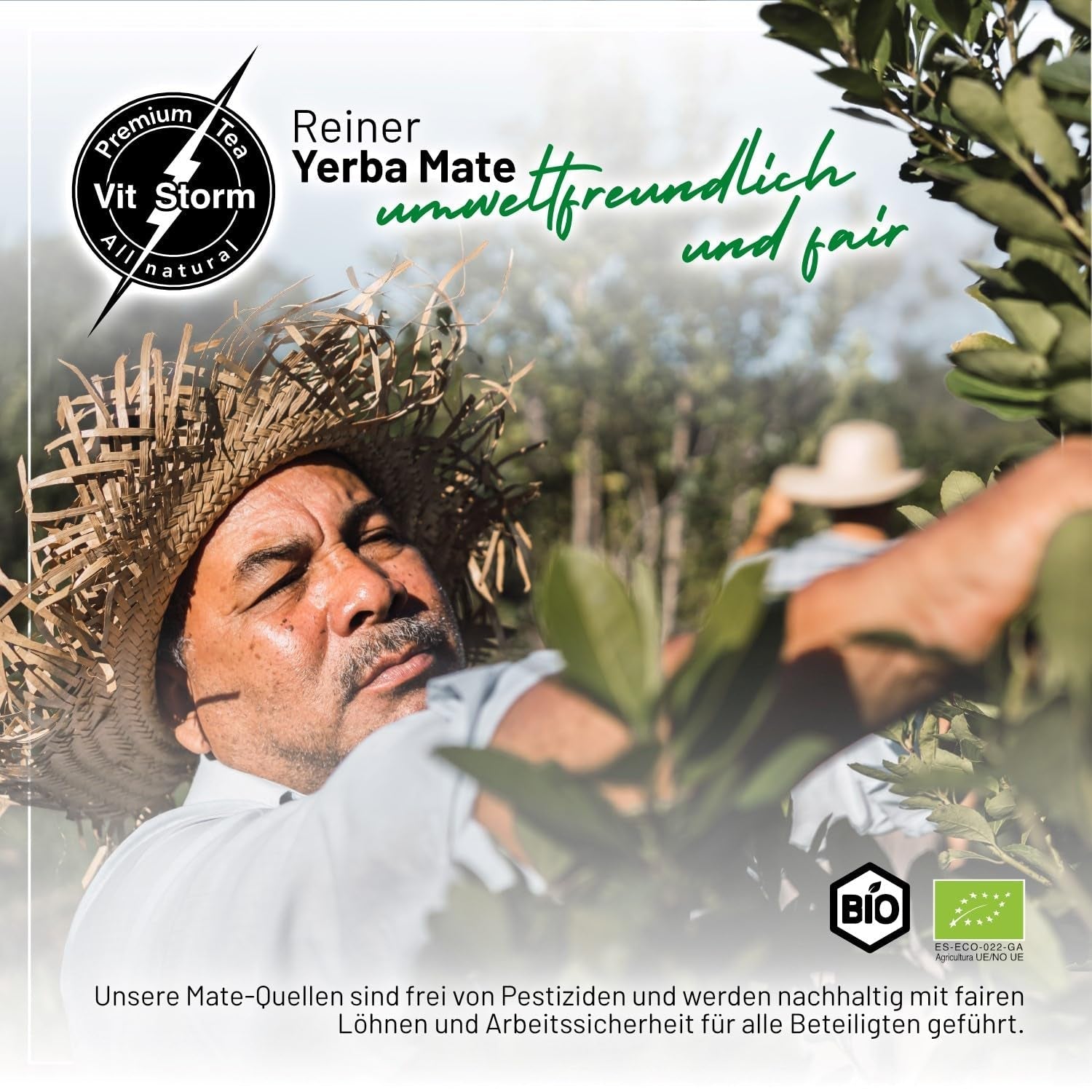VITSTORM® Slim Tea Cardamom – Tè Yerba Mate BIO – Tè disintossicante e diuretico – 100G