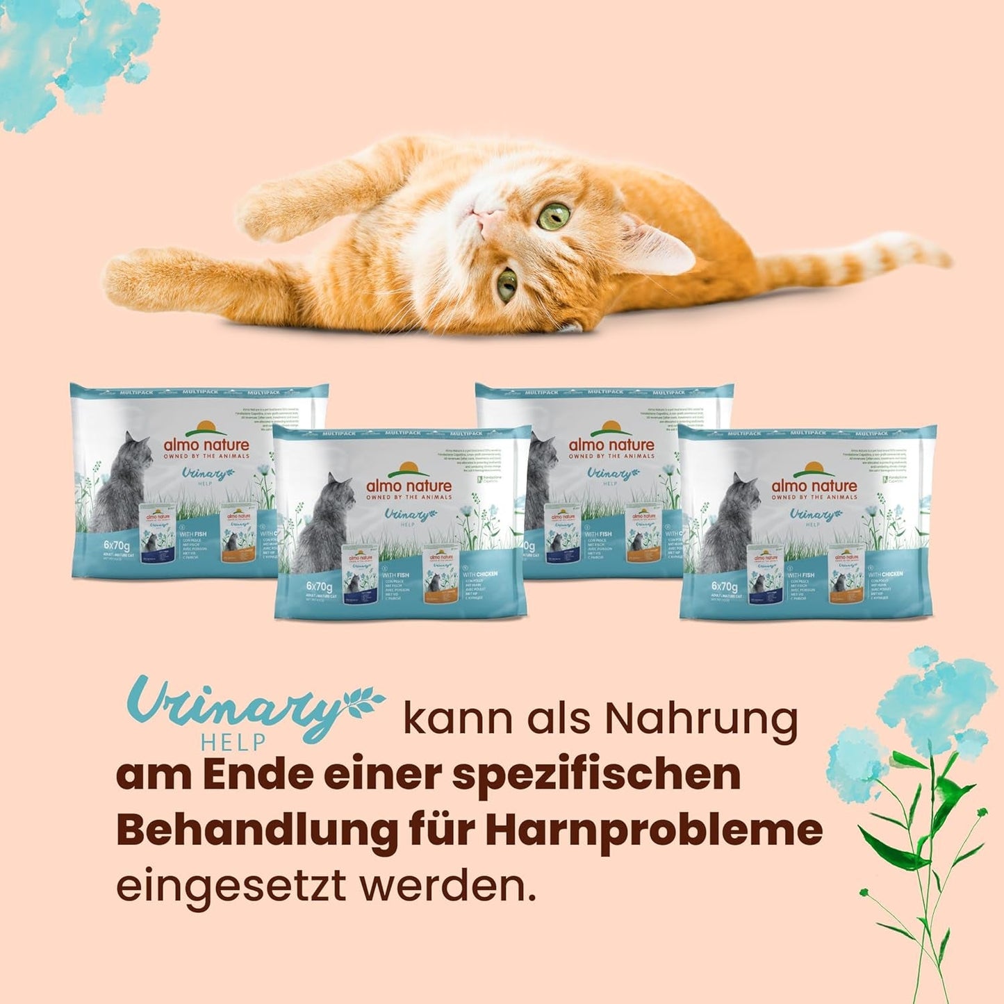 Almo Nature Functional Urinary Help - Nassfutter für ausgewachsene Katzen mit Fisch - Unterstützung für die Gesundheit der Harnwege - 30 buste da 70g