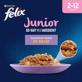 Felix As Good As It Looks Junior Alimento umido in gelatina per gattini, mix assortiti, conf. da 6 (6 x 12 buste da 85g ciascuna)