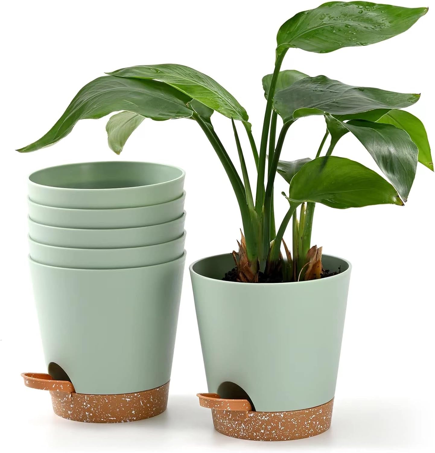 Vaso da fiori 6 pezzi 12,7 cm Fioriera autoirrigante Vaso da fiori per interni ed esterni ad alto drenaggio con vassoio per serbatoio e bordo per irrigazione Fioriera da giardino