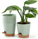 Vaso da fiori 6 pezzi 12,7 cm Fioriera autoirrigante Vaso da fiori per interni ed esterni ad alto drenaggio con vassoio per serbatoio e bordo per irrigazione Fioriera da giardino