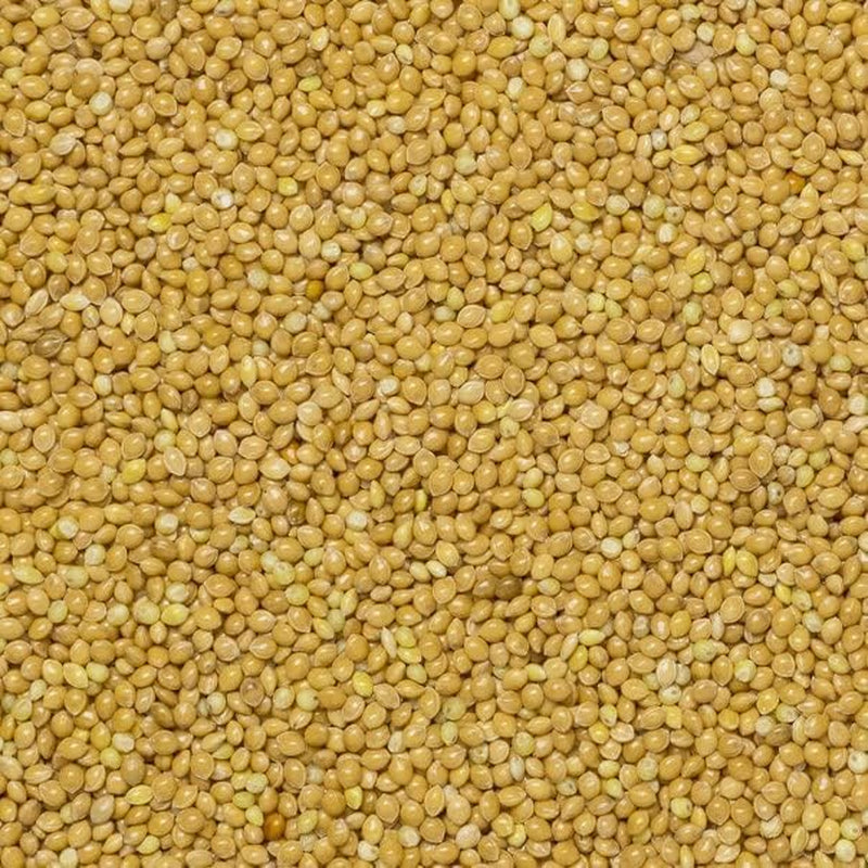 Miglio integrale terrestre - non OGM - naturale - vegano - senza latticini - senza zuccheri aggiunti - 1 kg