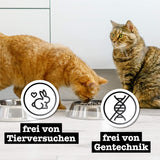 Cibo umido per gatti Catz Finefood Purrrr con monoproteine ​​e salmone n. 105, per gatti con digestione sensibile, 16 x 80 g