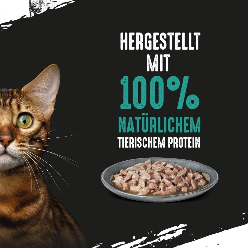 CRAVE Katze Portionsbeutel Salsa Multipack con Tonno 13 x 4x85g