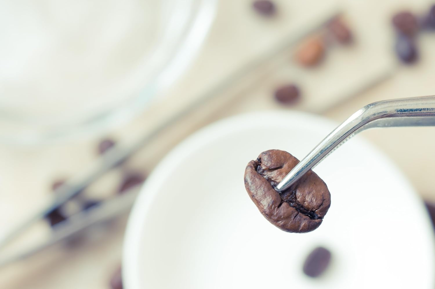 NIK CAFE' – Miscela Classica – caffè in grani tostati. Sua Eccellenza, quello robusto. Robusto al 100%.