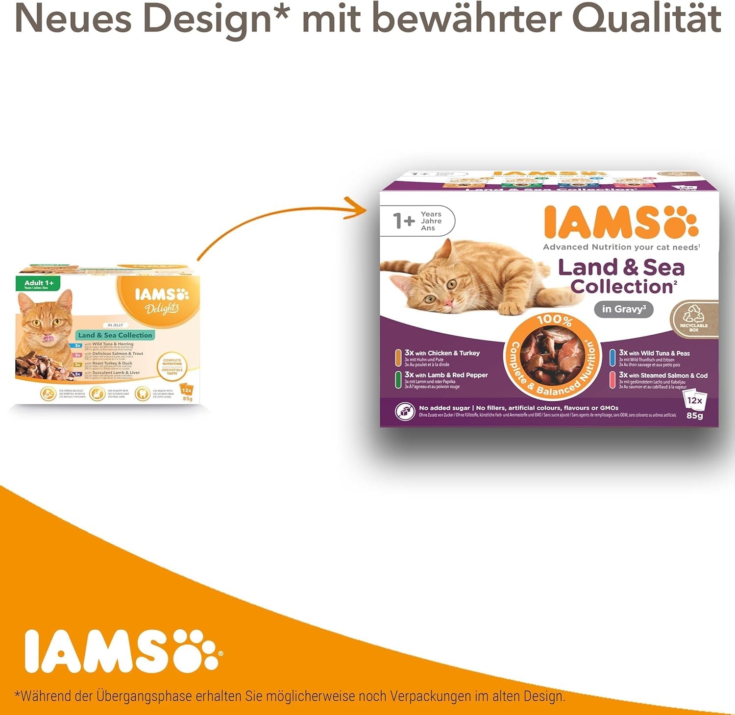 IAMS Delights Kitten Nassfutter - Multipack Katzenfutter mit Hunn in Sauce, alta qualità Futter für Junior Kätzchen von 1-12 Monate, 12 x 85 g