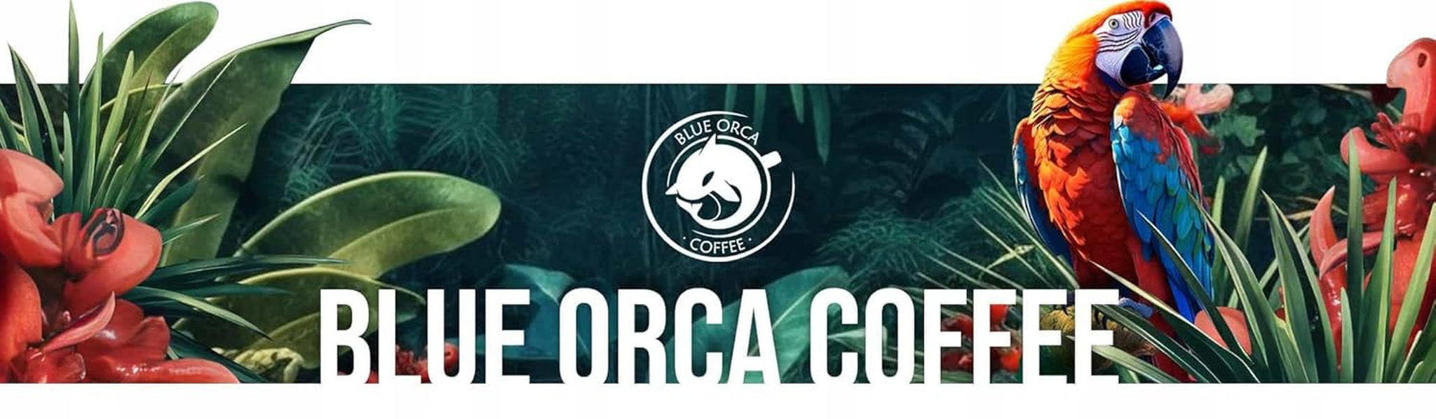 Caffè macinato DE BOA 1KG | 100% Arabica | con sentori di cioccolato e frutta secca | caffè in grani a tostatura media, bassa acidità | ideale per macchine espresso | Torrefazione del caffè Blue Orca