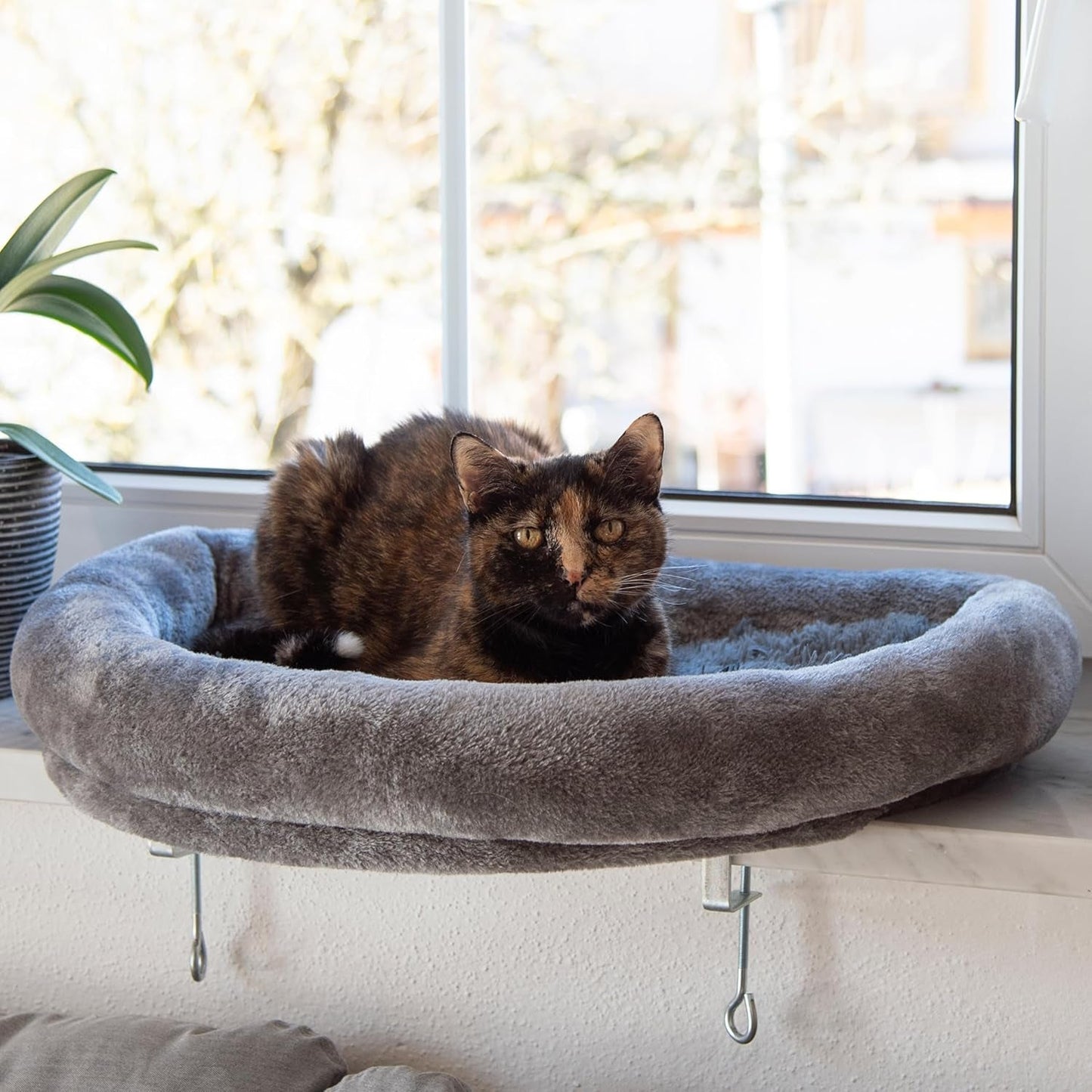 Coperte e mobili, Sedili vicino alla finestra, Animali domestici, Gatti, Letti per gatti, Gatti - Letti, materassi