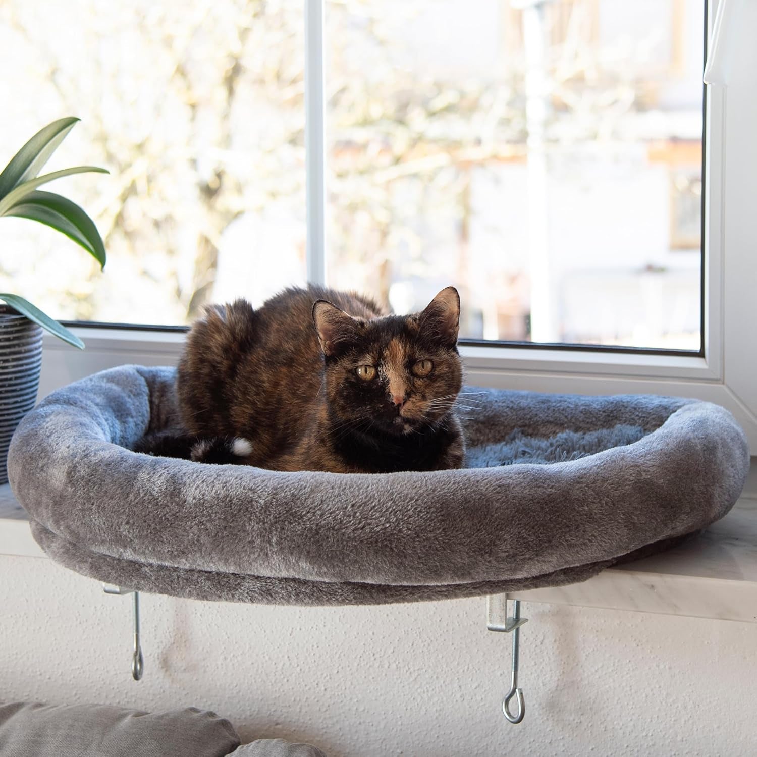 Coperte e mobili, Sedili vicino alla finestra, Animali domestici, Gatti, Letti per gatti, Gatti - Letti, materassi