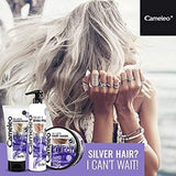 Cameleo - Maschera Colorante Argento - No Effetto Giallo - Trattamento Viola e Protezione Colore per Capelli Biondi, Grigi, Bianchi - Tonalità Platino - Protezione UV - Senza Parabeni - 200ml Naty Shop Maschera Capelli