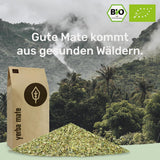 Tè Yerba Mate BIO 1 kg ● Originale ● Maturo ● Non tostato ● Essiccato all'aria ● Senza fumo ● Senza plastica ● Commercio equo e solidale ● Tè mate da foglie di mate, pezzi di mate e polvere di foglie di mate ● DE-ÖKO-006