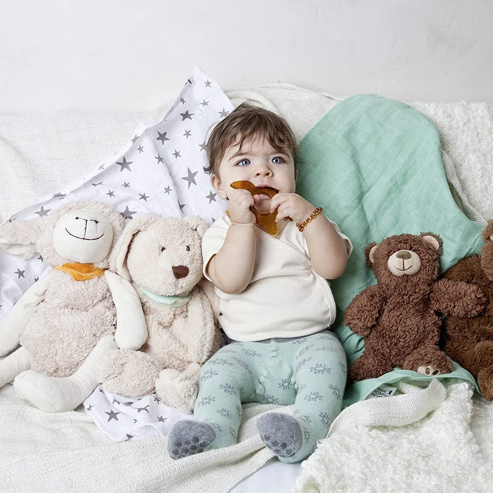 GRÜNSPECHT Anello da dentizione in caucciù naturale organico per la dentizione dei bambini, massaggia le gengive, senza BPA, morbido, favorisce la motricità fine, Tartaruga (639-V2), Marrone