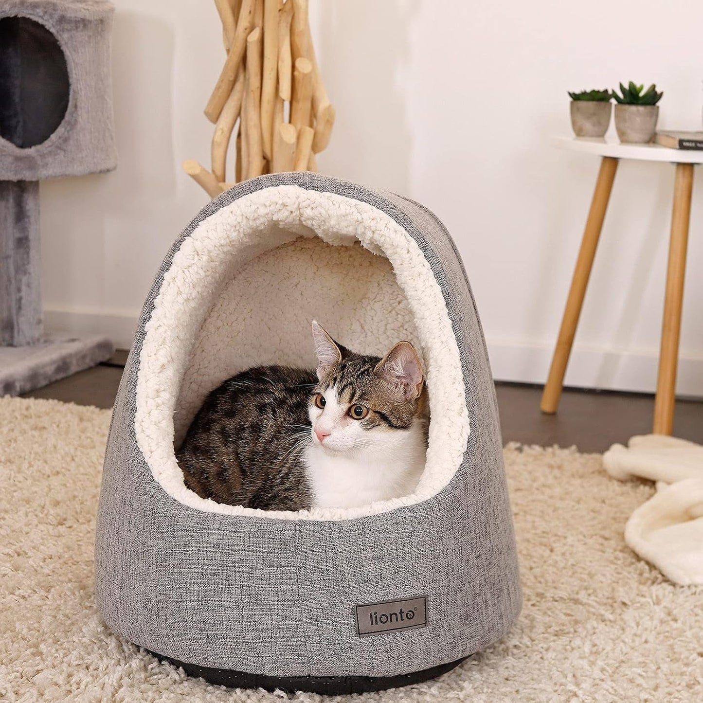 Coperte e Arredi, Animali Domestici, Grotte e Casette, Gatti, Letti per gatti, Gatti - Letti, materassi