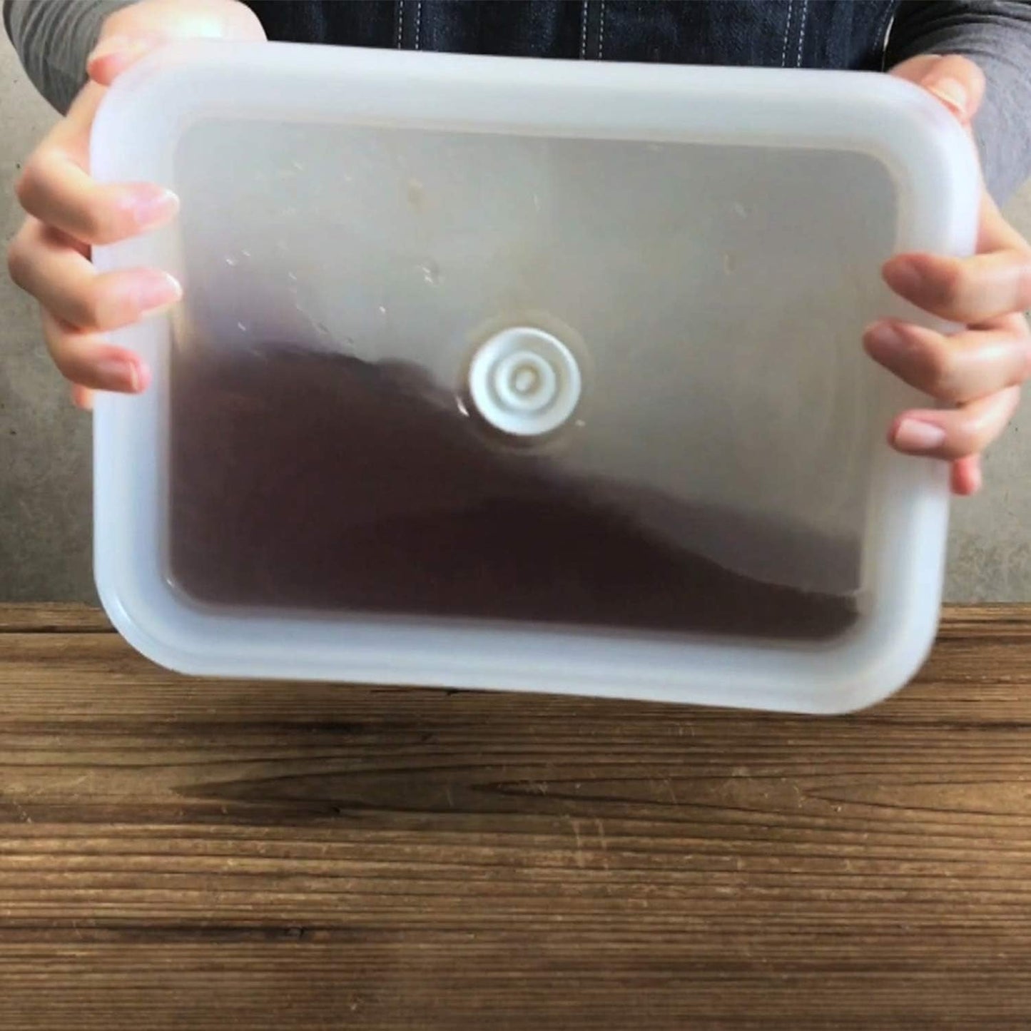 Latta smaltata per la conservazione degli alimenti sottovuoto | XL| 1,85 l | 23,5 x 17,5 x 7 cm | mantiene il cibo fresco più a lungo | protegge il cibo da batteri e infestazioni fungine | senza pompa a vuoto Contenitori per alimenti Naty Shop